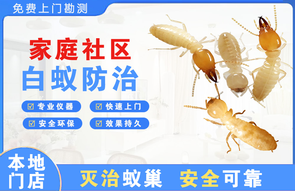 石柱家庭社区白蚁防治