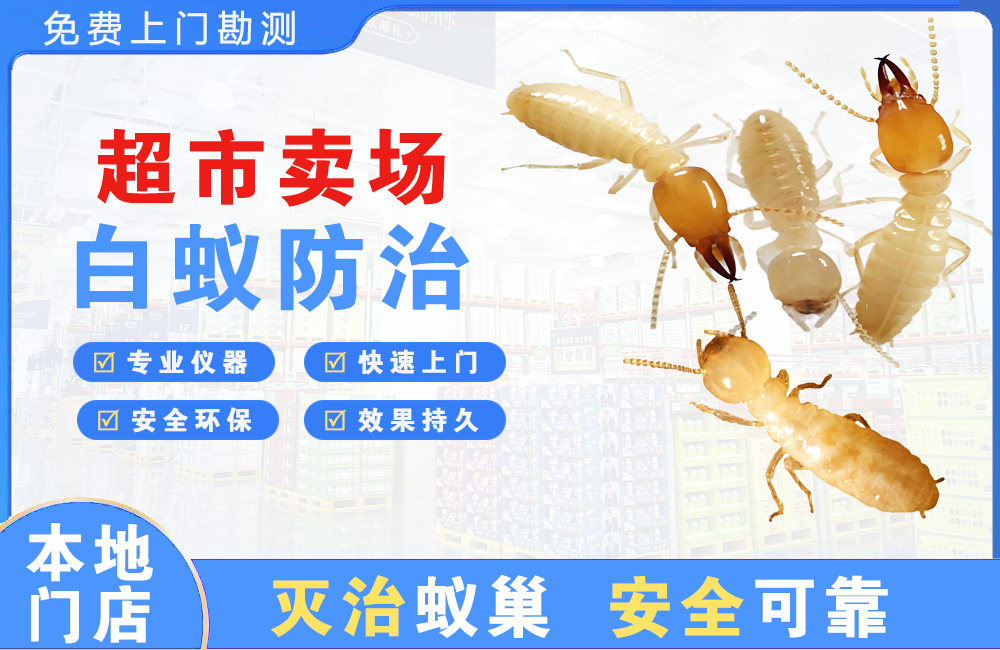 石柱超市卖场白蚁防治