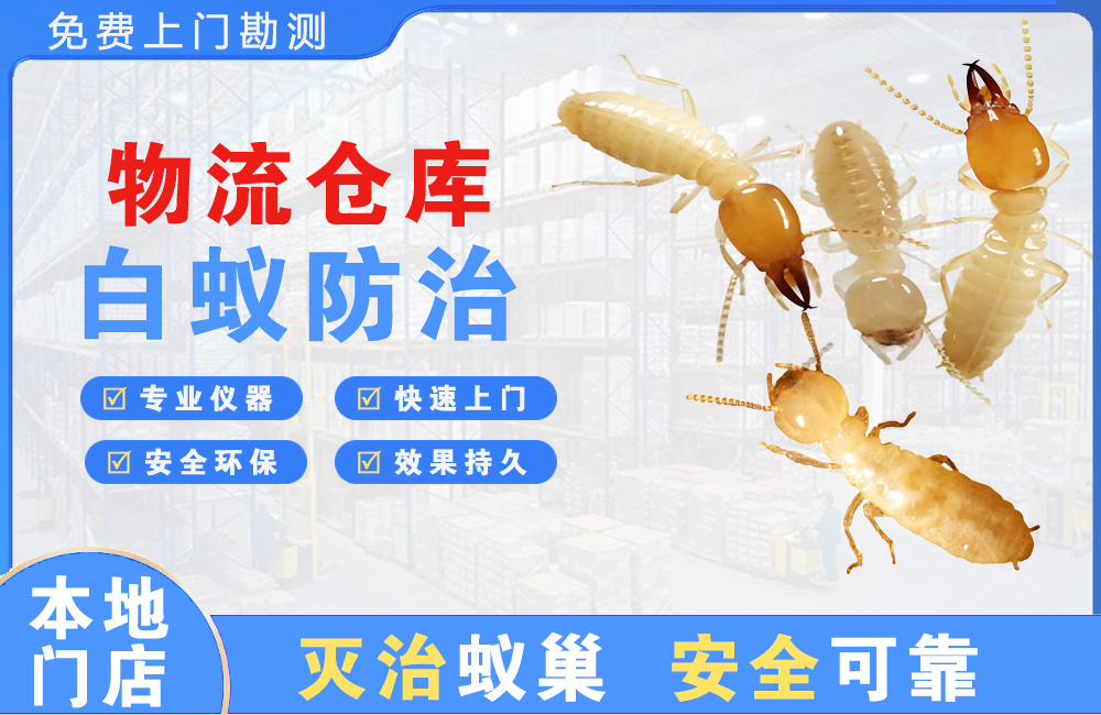 石柱物流仓库白蚁防治