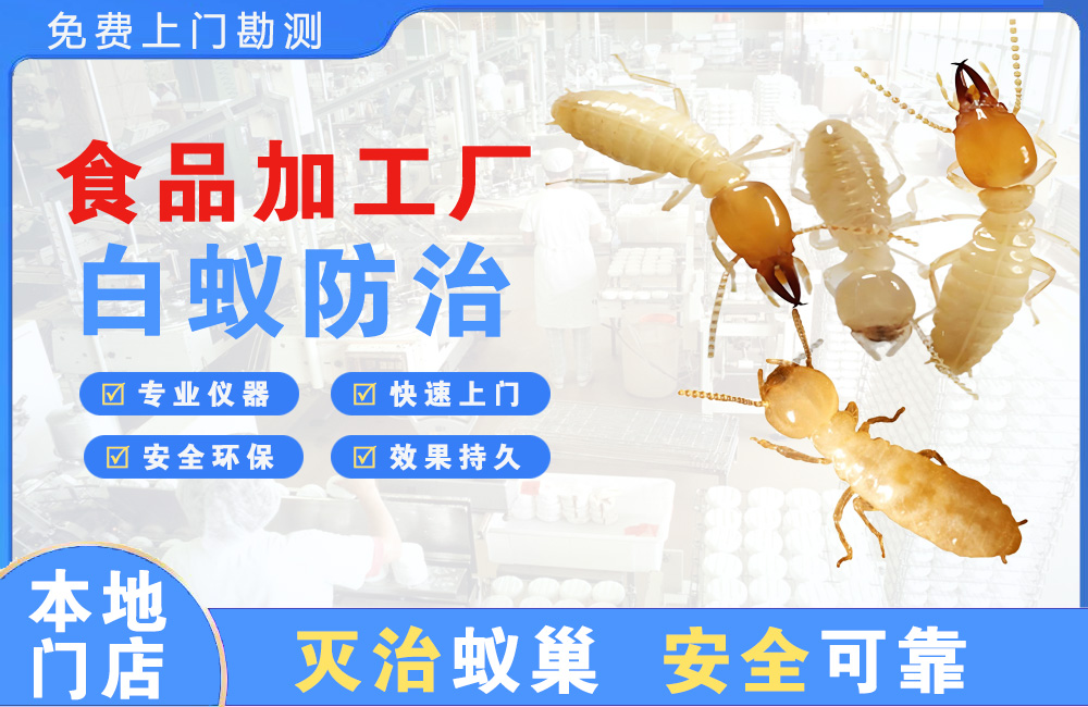 石柱食品加工厂白蚁防治