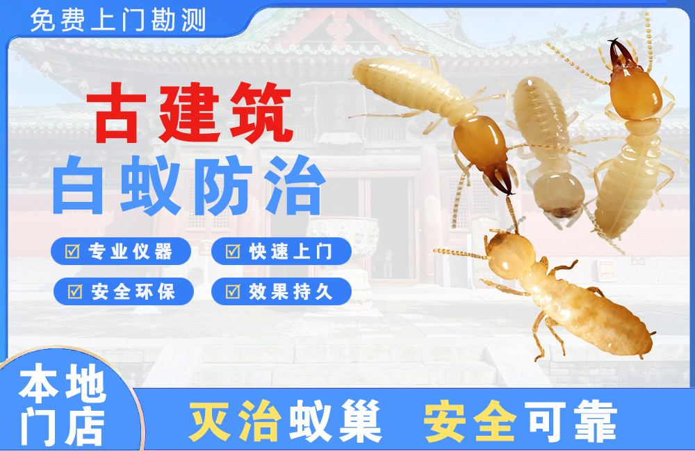 石柱古建筑白蚁防治