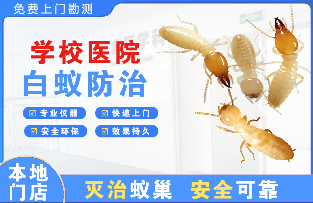 石柱学校医院白蚁防治