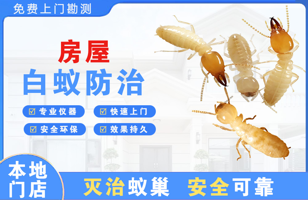 石柱房屋白蚁防治